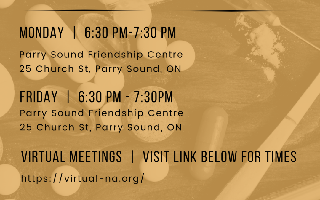 NA Schedule for Parry Sound