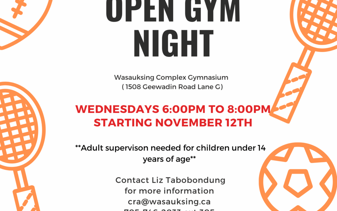 Wednesdays: Open Gym Night