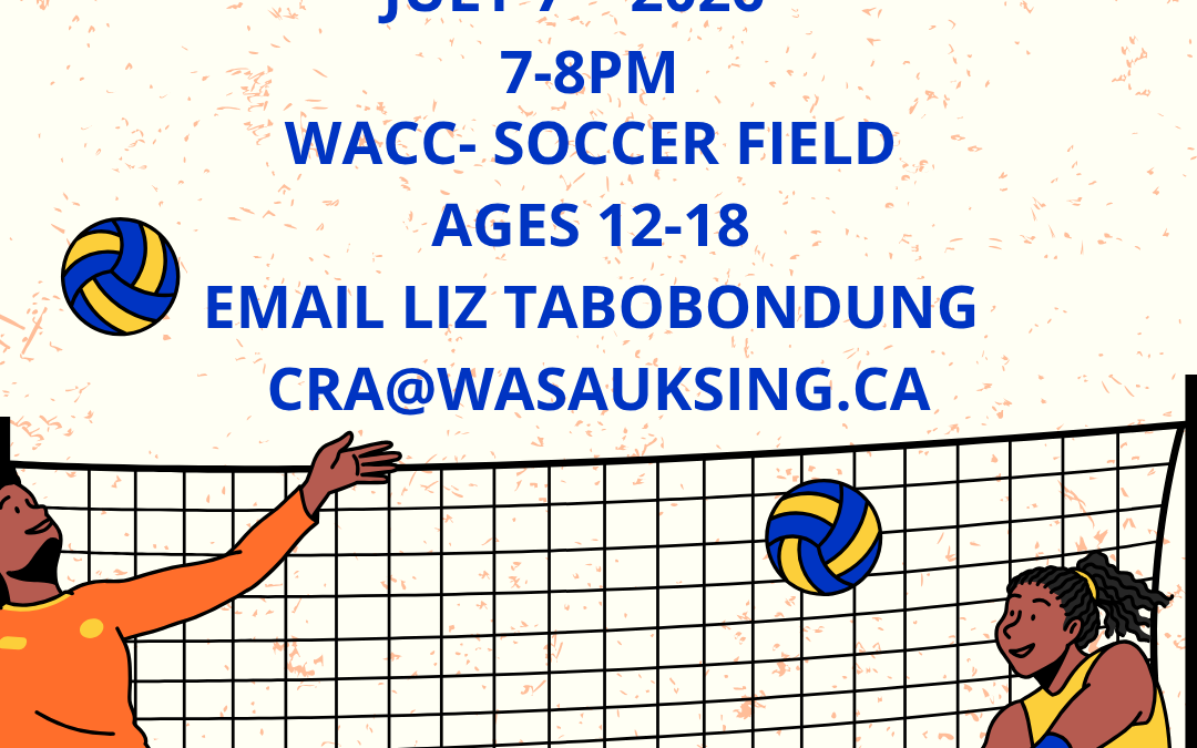 Volleyball  | Ages 12-18